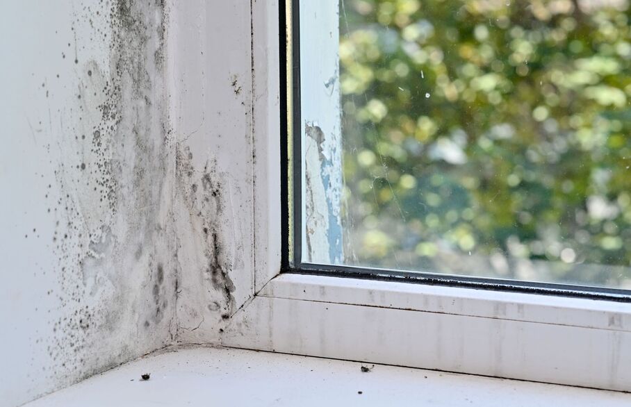 Preparing for Awaab's Law: why proactive property management matters