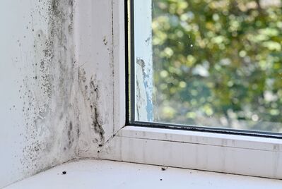 Preparing for Awaab's Law: why proactive property management matters