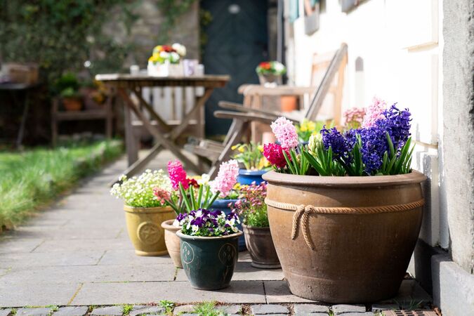 Why spring is the perfect season to sell your home