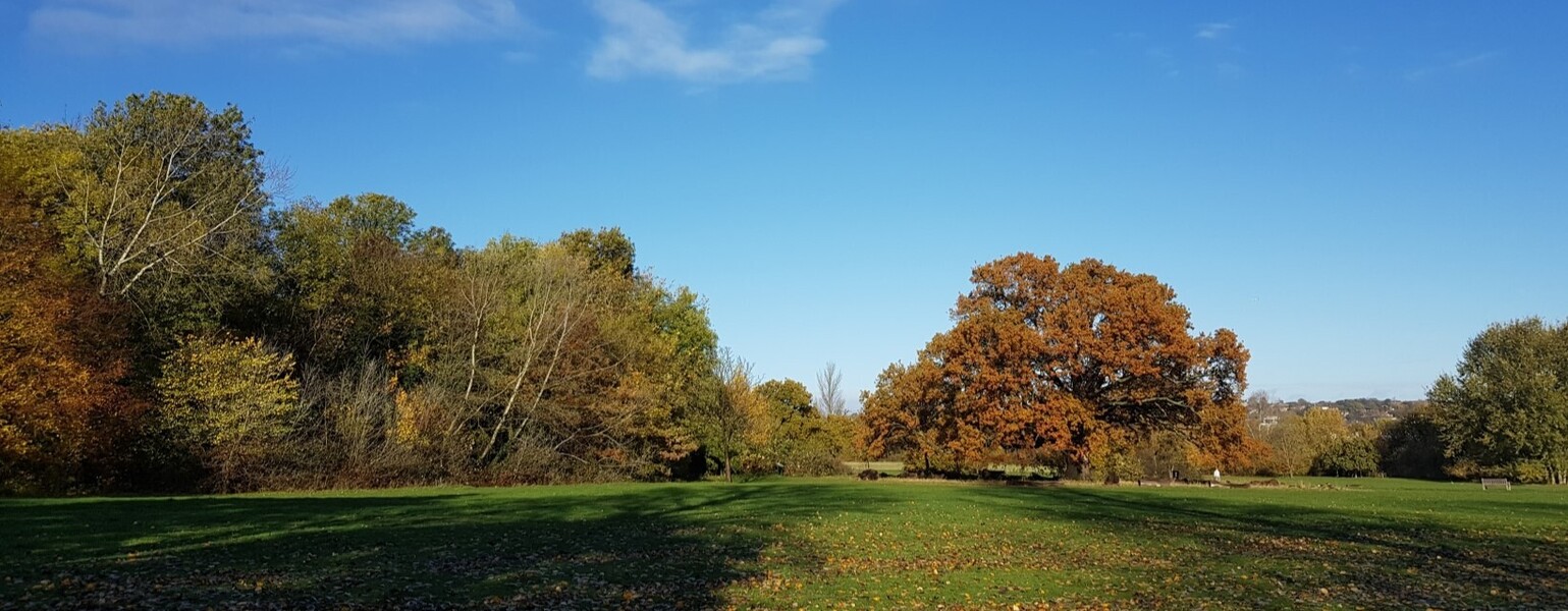 Raynes Park