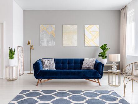 An elegant navy blue sofa in the middle of a bright living room 